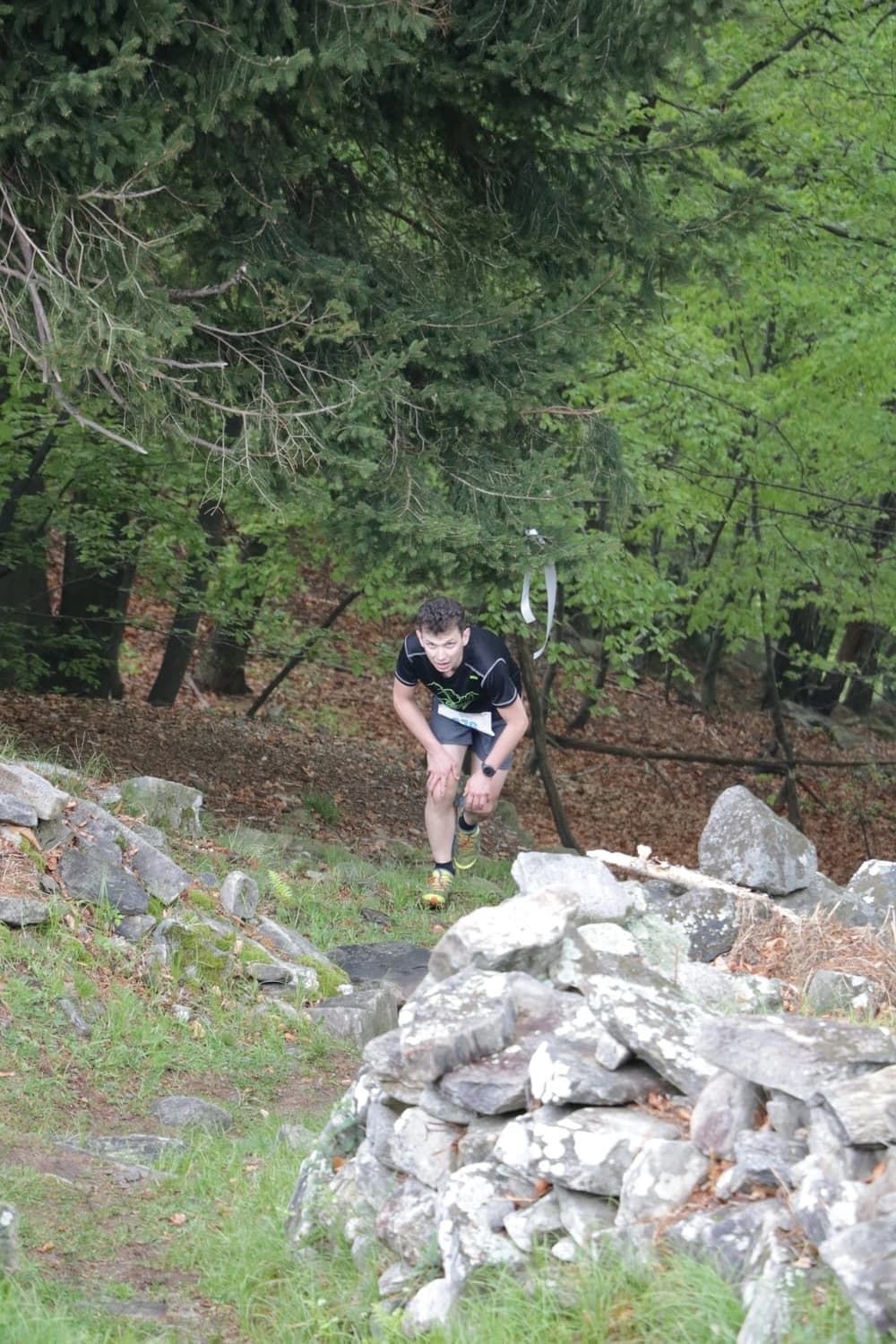 Foto di copertina 3 - Beura Vertical 2025 - Foto di Shania Tedeschi