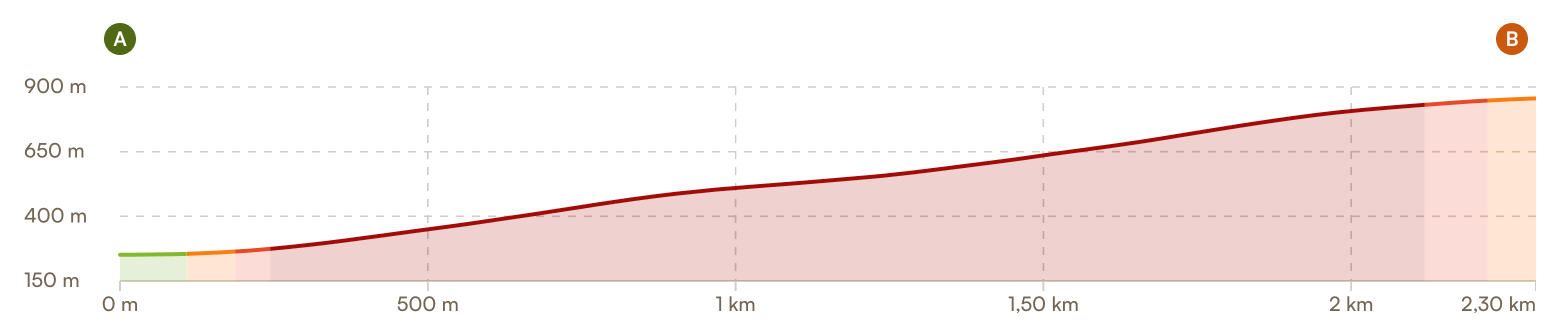 Profilo altimetrico del percorso